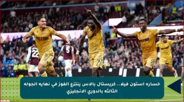 خسارة أستون فيلا.. كريستال بالاس ينتزع الفوز في نهاية الجولة الثالثة بالدوري الإنجليزي